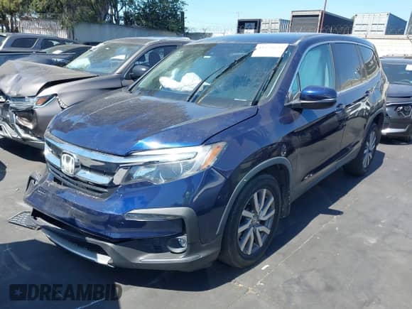 2019 Honda Pilot EX with VIN 5FNYF5H36KB026796, listed as a IAAI auction lot 43176624 with Not provided miles and . Bid and sale history available at DreamBid. Image 19.