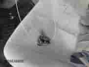 2011 Toyota Camry LE with VIN 4T4BF3EK0BR098995, listed as a IAAI auction lot 43024002 with 237,194 mi miles and . Bid and sale history available at DreamBid. Image 11.