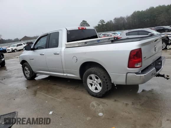 2010 Dodge 1500 ST with VIN 1D7RB1GPXAS181534, listed as a Copart auction lot 42546165 with 195,845 mi miles and Salvage title. Bid and sale history available at DreamBid. Image 2.