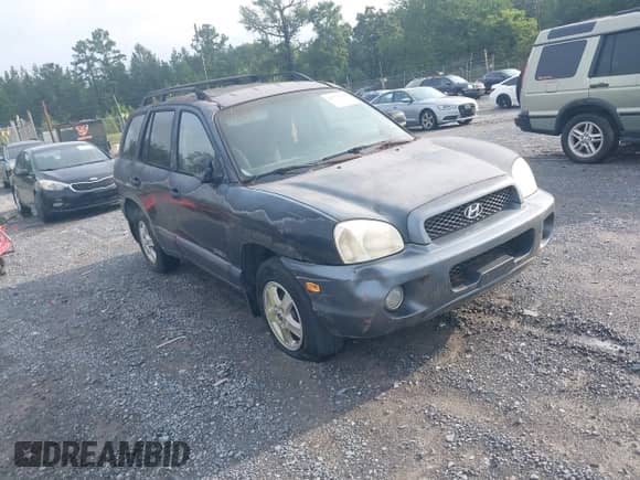 2002 Hyundai Santa Fe GLS с VIN KM8SC13D72U335137, выставлен на аукционе IAAI как лот 42775150 с пробегом 118 282 миль миль и . История ставок и продаж доступна на DreamBid. Изображение 1.