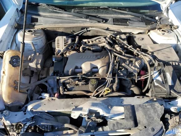 2002 Chevrolet Malibu с VIN 1G1ND52J12M513596, выставлен на аукционе Copart как лот 79084393 с пробегом 175 976 миль миль и Списание • Salvage title. История ставок и продаж доступна на DreamBid. Изображение 12.