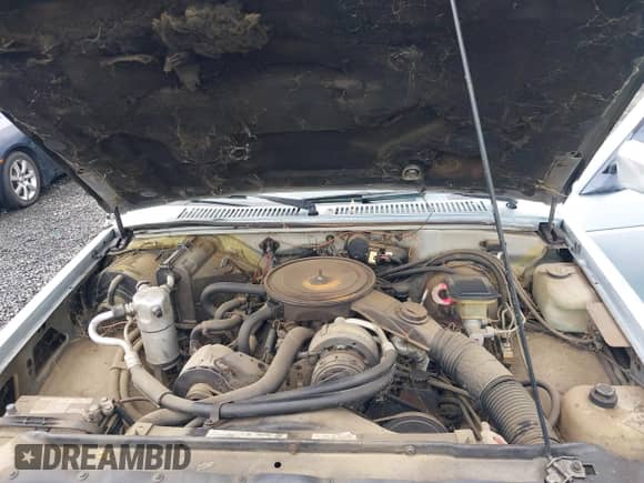 1984 Chevrolet S-10 с VIN 1GCCS14B0E8143452, выставлен на аукционе IAAI как лот 42218193 с пробегом 58 426 миль миль и . История ставок и продаж доступна на DreamBid. Изображение 10.