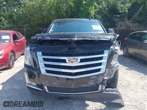 2017 Cadillac Escalade Luxury with VIN 1GYS4BKJ2HR376991, listed as a IAAI auction lot 42947489 with 165,720 mi miles and . Bid and sale history available at DreamBid. Image 12.