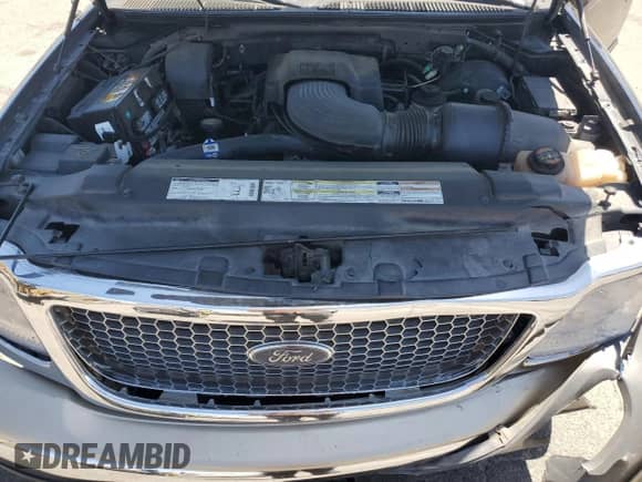 1999 Ford F-150 XL with VIN 1FTRX18L0XKB77329, listed as a Copart auction lot 56355145 with 202,787 mi miles and Salvage title. Bid and sale history available at DreamBid. Image 11.