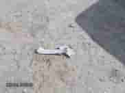 2013 Toyota Sienna XLE AAS with VIN 5TDYK3DC2DS387396, listed as a IAAI auction lot 43428145 with 106,661 mi miles and . Bid and sale history available at DreamBid. Image 12.