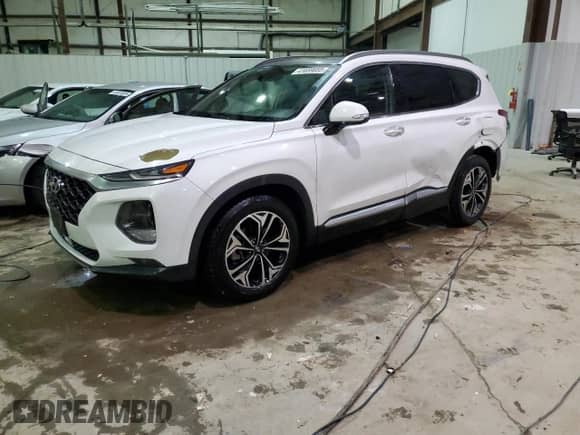 2019 Hyundai Santa Fe Limited z VIN 5NMS53AA4KH073040, wystawiony jako Copart lot #41859855 z przebiegiem 98 904 mil mil oraz Szkoda całkowita • Salvage title. Historia ofert i sprzedaży dostępna na DreamBid. Obrazek 1.