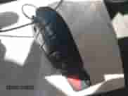 2008 Jeep Grand Cherokee Laredo с VIN 1J8GR48K58C153705, выставлен на аукционе IAAI как лот 43424995 с пробегом 180 500 миль миль и . История ставок и продаж доступна на DreamBid. Изображение 11.