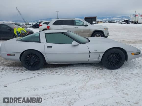 1996 Chevrolet Corvette with VIN 1G1YY22P4T5110339, listed as a IAAI auction lot 41357090 with 109,581 mi miles and . Bid and sale history available at DreamBid. Image 13.