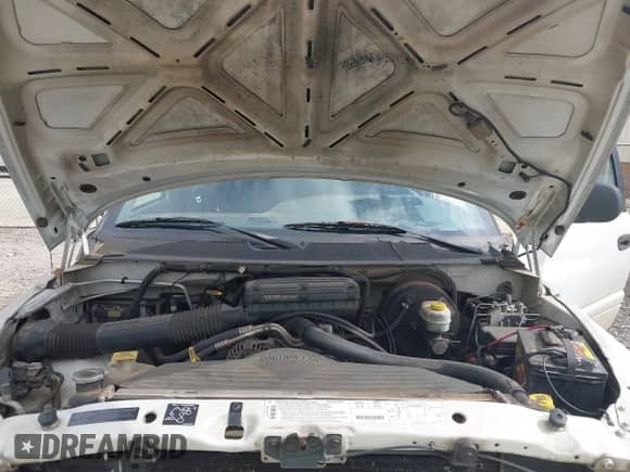 1999 Dodge 1500 with VIN 3B7HC13Z9XG101506, listed as a IAAI auction lot 42485814 with 201,080 mi miles and . Bid and sale history available at DreamBid. Image 10.