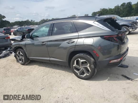 2023 Hyundai Tucson Limited with VIN 5NMJECAEXPH162858, listed as a Copart auction lot 81158825 with 33,111 mi miles and Non repairable. Bid and sale history available at DreamBid. Image 2.