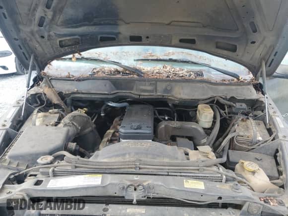 2003 Dodge 2500 ST z VIN 3D7KA28C23G802992, wystawiony jako Copart lot #66871165 z przebiegiem 624 065 mil mil oraz Czysty tytuł • Clean title. Historia ofert i sprzedaży dostępna na DreamBid. Obrazek 11.