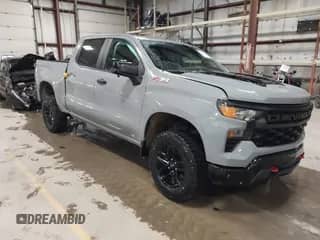 2024 Chevrolet Silverado 1500 Custom Trail Boss with VIN 3GCPDCEKXRG334799, listed as a IAAI auction lot 41946051 with 16,321 mi miles and . Bid and sale history available at DreamBid. Image 1.