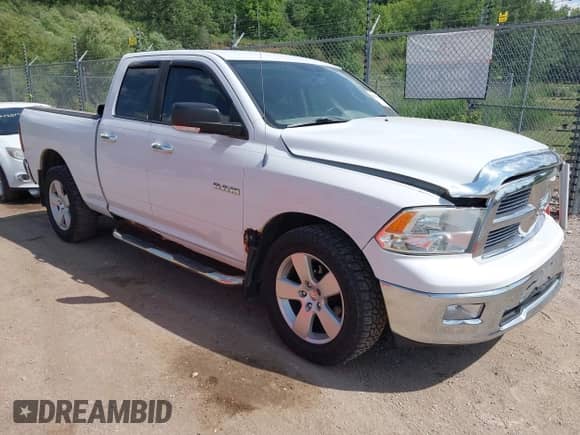 2010 Dodge 1500 SLT with VIN 1D7RV1GP3AS124065, listed as a IAAI auction lot 42504343 with 182,183 mi miles and . Bid and sale history available at DreamBid. Image 1.