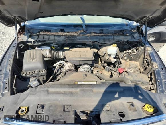 2011 Ram 1500 ST with VIN 1D7RB1GP1BS669594, listed as a Copart auction lot 71964715 with Not provided miles and Salvage title. Bid and sale history available at DreamBid. Image 11.