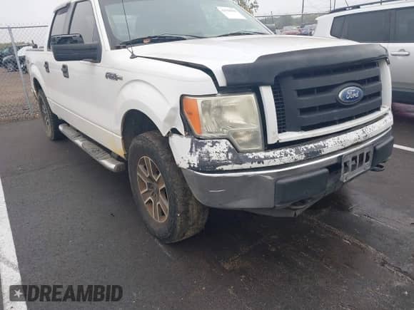 2010 Ford F-150 XL z VIN 1FTEW1E88AFC77969, wystawiony jako IAAI lot #43559049 z przebiegiem 301 493 mil mil oraz . Historia ofert i sprzedaży dostępna na DreamBid. Obrazek 6.