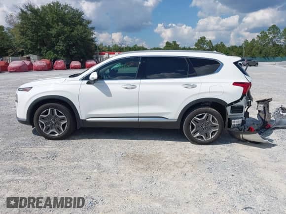 2023 Hyundai Santa Fe Limited with VIN 5NMS44AL0PH633816, listed as a IAAI auction lot 43324554 with 31,271 mi miles and . Bid and sale history available at DreamBid. Image 14.