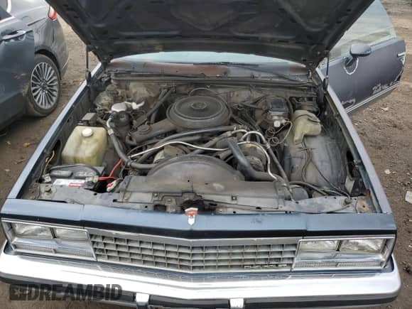 1985 Chevrolet El Camino с VIN 3GCCW80H9FS915947, выставлен на аукционе Copart как лот 84659344 с пробегом 38 549 миль миль и Списание • Salvage title. История ставок и продаж доступна на DreamBid. Изображение 11.