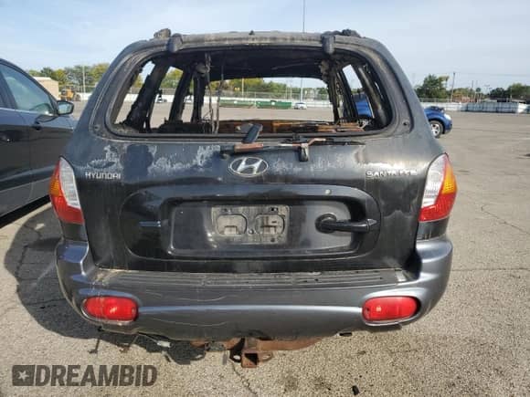 2004 Hyundai Santa Fe с VIN KM8SB12B64U656737, выставлен на аукционе Copart как лот 71521294 с пробегом Не указан миль и На запчасти • Non repairable. История ставок и продаж доступна на DreamBid. Изображение 6.