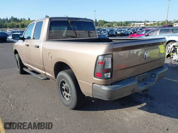 2010 Dodge 1500 SLT with VIN 1D7RV1GP9AS242539, listed as a IAAI auction lot 43253571 with 206,326 mi miles and . Bid and sale history available at DreamBid. Image 3.
