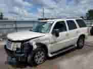 2002 Cadillac Escalade with VIN 1GYEC63T32R219520, listed as a Copart auction lot 60732835 with Not provided miles and Salvage title. Bid and sale history available at DreamBid. Image 1.