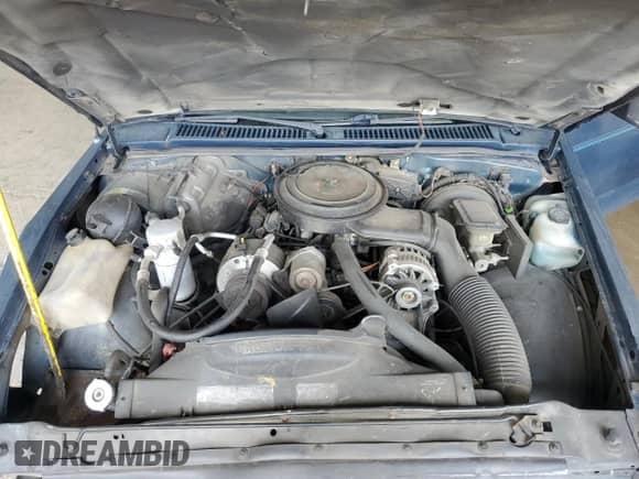1992 Chevrolet S-10 with VIN 1GCCS14AXN8101085, listed as a Copart auction lot 66151445 with 146,026 mi miles and Salvage title. Bid and sale history available at DreamBid. Image 11.