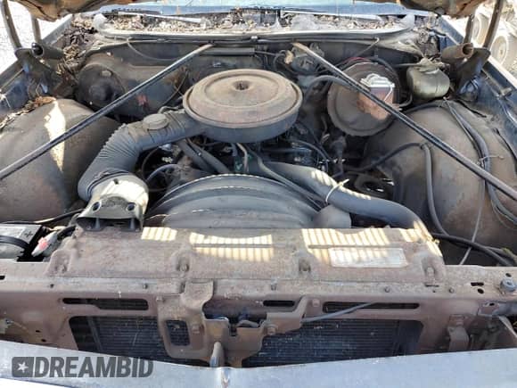 1977 Chevrolet El Camino с VIN 1D80U7D441774, выставлен на аукционе Copart как лот 65286275 с пробегом 7 998 миль миль и Чистый • Clean title. История ставок и продаж доступна на DreamBid. Изображение 11.