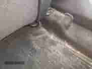 2016 Hyundai Elantra с VIN KMHD35LH9GU304918, выставлен на аукционе IAAI как лот 43312898 с пробегом 185 700 миль миль и . История ставок и продаж доступна на DreamBid. Изображение 12.