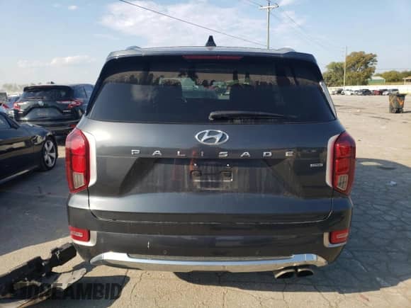 2020 Hyundai Palisade Limited with VIN KM8R5DHE4LU068858, listed as a Copart auction lot 69163483 with Not provided miles and . Bid and sale history available at DreamBid. Image 6.