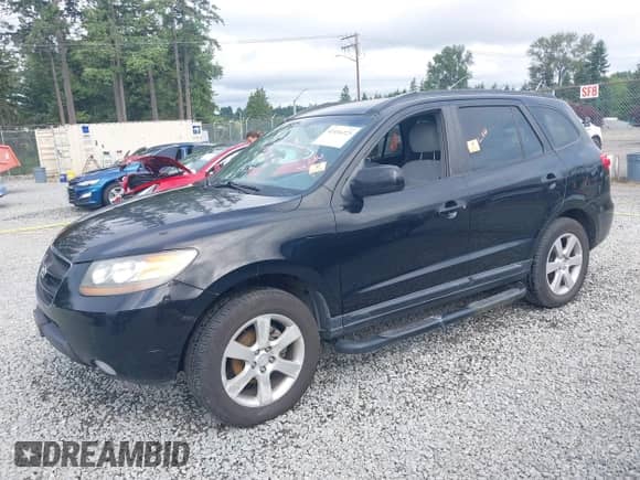 2008 Hyundai Santa Fe SE с VIN 5NMSH13EX8H152684, выставлен на аукционе IAAI как лот 42416223 с пробегом Не указан миль и . История ставок и продаж доступна на DreamBid. Изображение 16.
