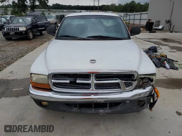 1999 Dodge Dakota SLT z VIN 1B7GL22X2XS106718, wystawiony jako Copart lot #70169105 z przebiegiem 291 180 mil mil oraz Szkoda całkowita • Salvage title. Historia ofert i sprzedaży dostępna na DreamBid. Obrazek 5.