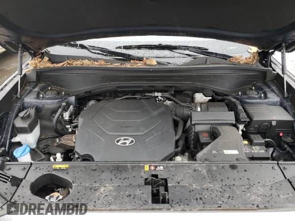 2020 Hyundai Palisade SEL с VIN KM8R3DHE8LU089086, выставлен на аукционе Copart как лот 41387053 с пробегом 30 843 миль миль и . История ставок и продаж доступна на DreamBid. Изображение 11.