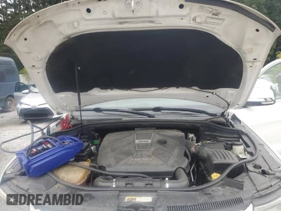 2014 Jeep Grand Cherokee Summit with VIN 1C4RJFJM1EC100526, listed as a Copart auction lot 84452005 with 125,895 mi miles and Clean title. Bid and sale history available at DreamBid. Image 12.