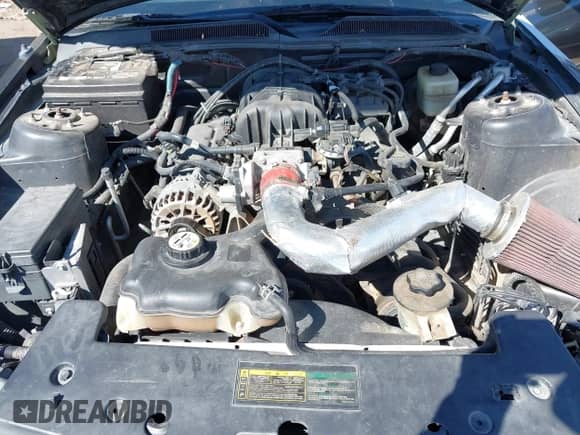 2008 Ford Mustang Deluxe with VIN 1ZVHT80NX85209374, listed as a IAAI auction lot 43254062 with 141,567 mi miles and . Bid and sale history available at DreamBid. Image 10.