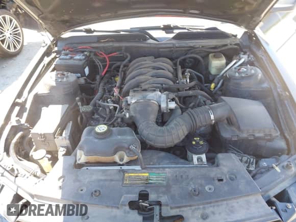 2007 Ford Mustang GT Deluxe с VIN 1ZVHT82H775304514, выставлен на аукционе IAAI как лот 43080644 с пробегом 221 004 миль миль и . История ставок и продаж доступна на DreamBid. Изображение 10.