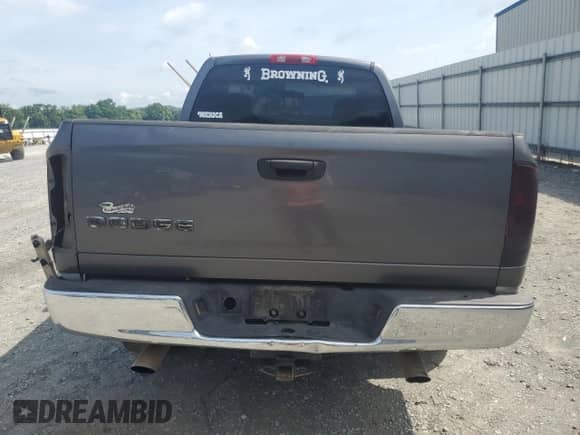 2002 Dodge 1500 z VIN 1D7HA16K92J248300, wystawiony jako Copart lot #60234255 z przebiegiem 236 499 mil mil oraz Szkoda całkowita • Salvage title. Historia ofert i sprzedaży dostępna na DreamBid. Obrazek 6.