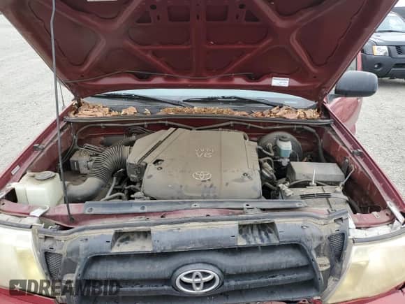 2005 Toyota Tacoma PreRunner with VIN 5TEKU72NX5Z086407, listed as a Copart auction lot 81974905 with 223,020 mi miles and Salvage title. Bid and sale history available at DreamBid. Image 11.
