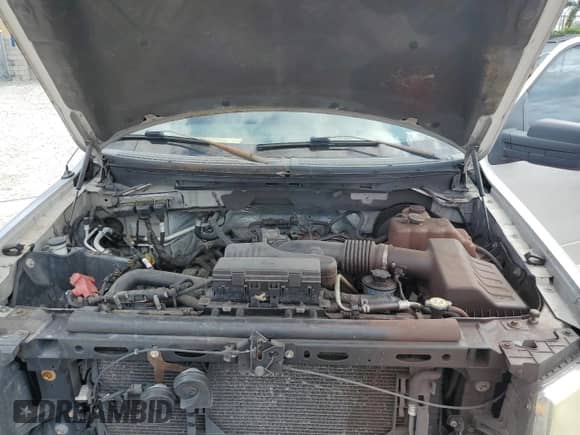 2010 Ford F-150 XL z VIN 1FTEX1CW8AFC75833, wystawiony jako Copart lot #87300975 z przebiegiem 240 189 mil mil oraz Czysty tytuł • Clean title. Historia ofert i sprzedaży dostępna na DreamBid. Obrazek 13.