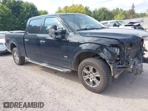 2016 Ford F-150 XLT z VIN 1FTFW1EG4GFC67217, wystawiony jako IAAI lot #43202017 z przebiegiem 227 685 mil mil oraz . Historia ofert i sprzedaży dostępna na DreamBid. Obrazek 1.