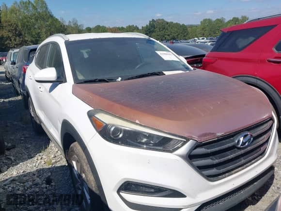 2018 Hyundai Tucson SEL Plus с VIN KM8J33A42JU665549, выставлен на аукционе IAAI как лот 42980302 с пробегом 163 674 миль миль и . История ставок и продаж доступна на DreamBid. Изображение 1.