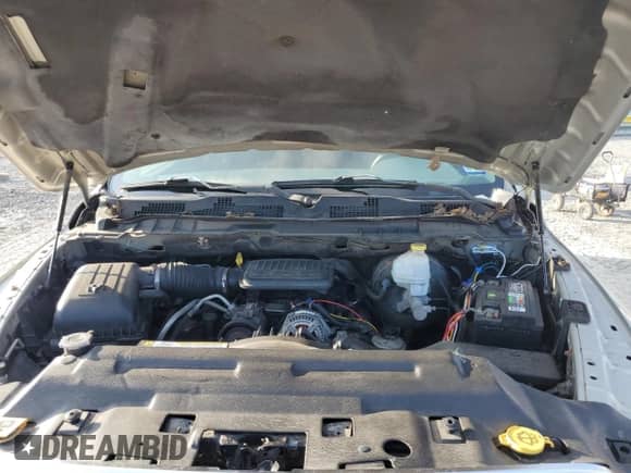 2010 Dodge 1500 ST with VIN 1D7RB1GKXAS248282, listed as a Copart auction lot 87048245 with 147,099 mi miles and Clean title. Bid and sale history available at DreamBid. Image 11.