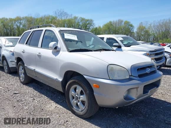 2005 Hyundai Santa Fe GLS with VIN KM8SC13D95U888747, listed as a IAAI auction lot 38833174 with 154,111 mi miles and . Bid and sale history available at DreamBid. Image 1.