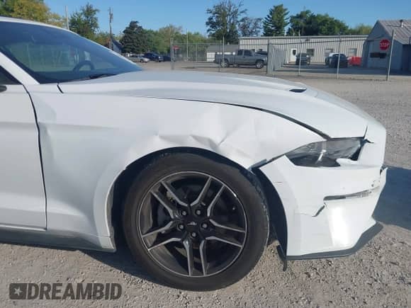 2023 Ford Mustang EcoBoost with VIN 1FATP8UH4P5105036, listed as a IAAI auction lot 43357689 with 61,296 mi miles and . Bid and sale history available at DreamBid. Image 6.