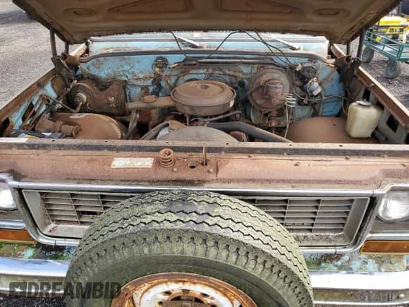 1973 Chevrolet Silverado 2500 with VIN CCY243Z101829, listed as a Copart auction lot 48826105 with 1,843 mi miles and Clean title. Bid and sale history available at DreamBid. Image 11.
