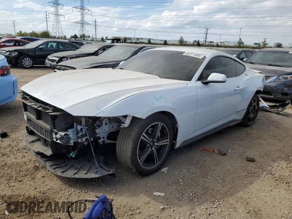 2024 Ford Mustang EcoBoost с VIN 1FA6P8THXR5107956, выставлен на аукционе Copart как лот 82211305 с пробегом 16 891 миль миль и Списание • Salvage title. История ставок и продаж доступна на DreamBid. Изображение 1.