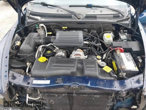 2001 Dodge Dakota Sport с VIN 1B7HG2AN41S234362, выставлен на аукционе IAAI как лот 42609255 с пробегом 152 723 миль миль и . История ставок и продаж доступна на DreamBid. Изображение 10.