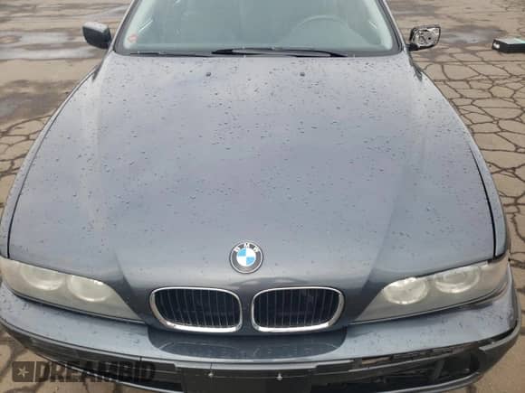 2001 BMW 5 Series 525i with VIN WBADS43441GD84598, listed as a Copart auction lot 63105485 with 205,708 mi miles and Salvage title. Bid and sale history available at DreamBid. Image 11.