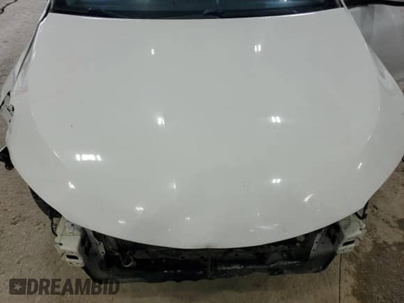2017 Toyota Camry XLE z VIN 4T1BF1FK8HU802270, wystawiony jako Copart lot #53561095 z przebiegiem Nie podano mil oraz Szkoda całkowita • Salvage title. Historia ofert i sprzedaży dostępna na DreamBid. Obrazek 11.