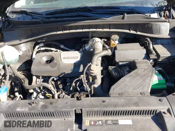 2017 Hyundai Tucson Eco с VIN KM8J3CA21HU276099, выставлен на аукционе IAAI как лот 41395961 с пробегом 153 442 миль миль и . История ставок и продаж доступна на DreamBid. Изображение 10.