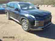 2024 Hyundai Palisade SEL with VIN KM8R24GE8RU794385, listed as a IAAI auction lot 43476587 with 37,545 mi miles and . Bid and sale history available at DreamBid. Image 1.