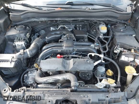 2014 Subaru Forester Premium with VIN JF2SJAEC4EH498762, listed as a IAAI auction lot 41442423 with 228,769 mi miles and . Bid and sale history available at DreamBid. Image 10.